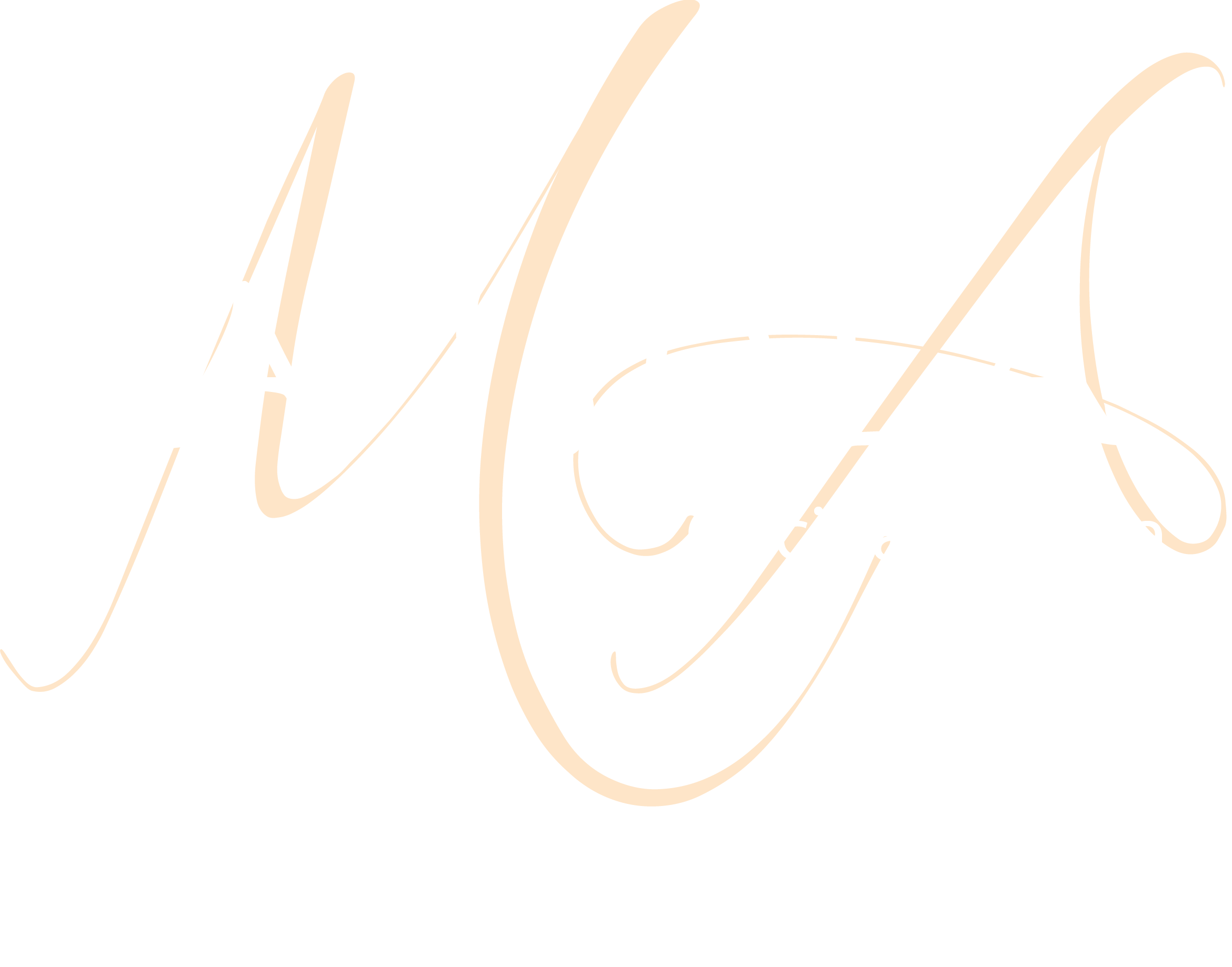 La Isola cucina italiana Logo